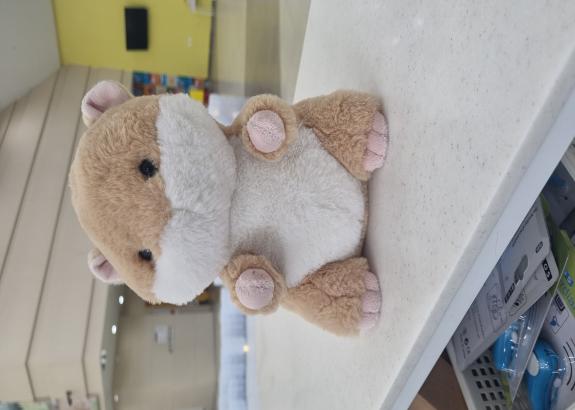 햄스터인형